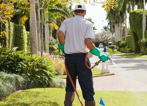 About Radcliffe IA Pest Control